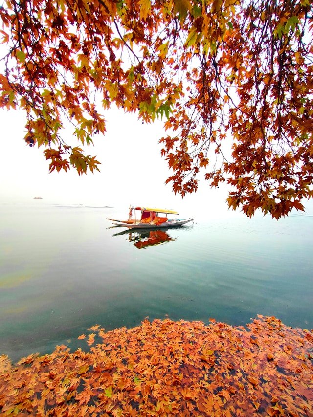 Kashmir landscape